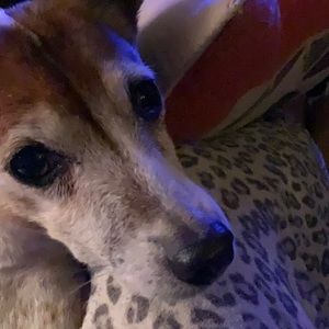 Meet your Posher, Lorsley